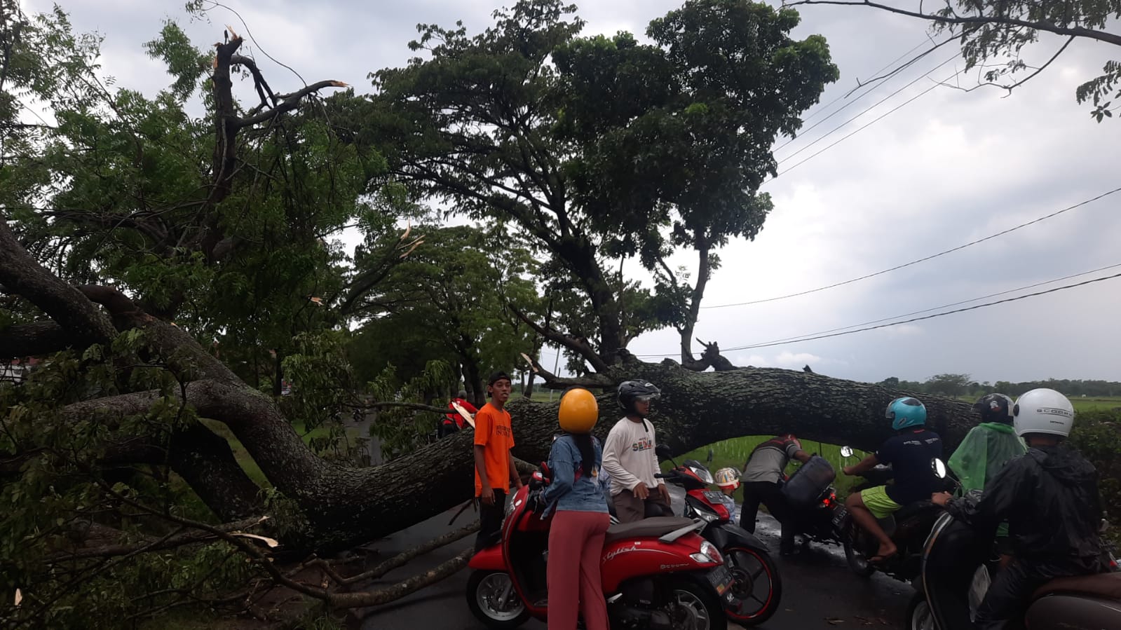 Hujan Angin Campur Petir, Tewaskan Petani dan Hancurkan Rumah Warga