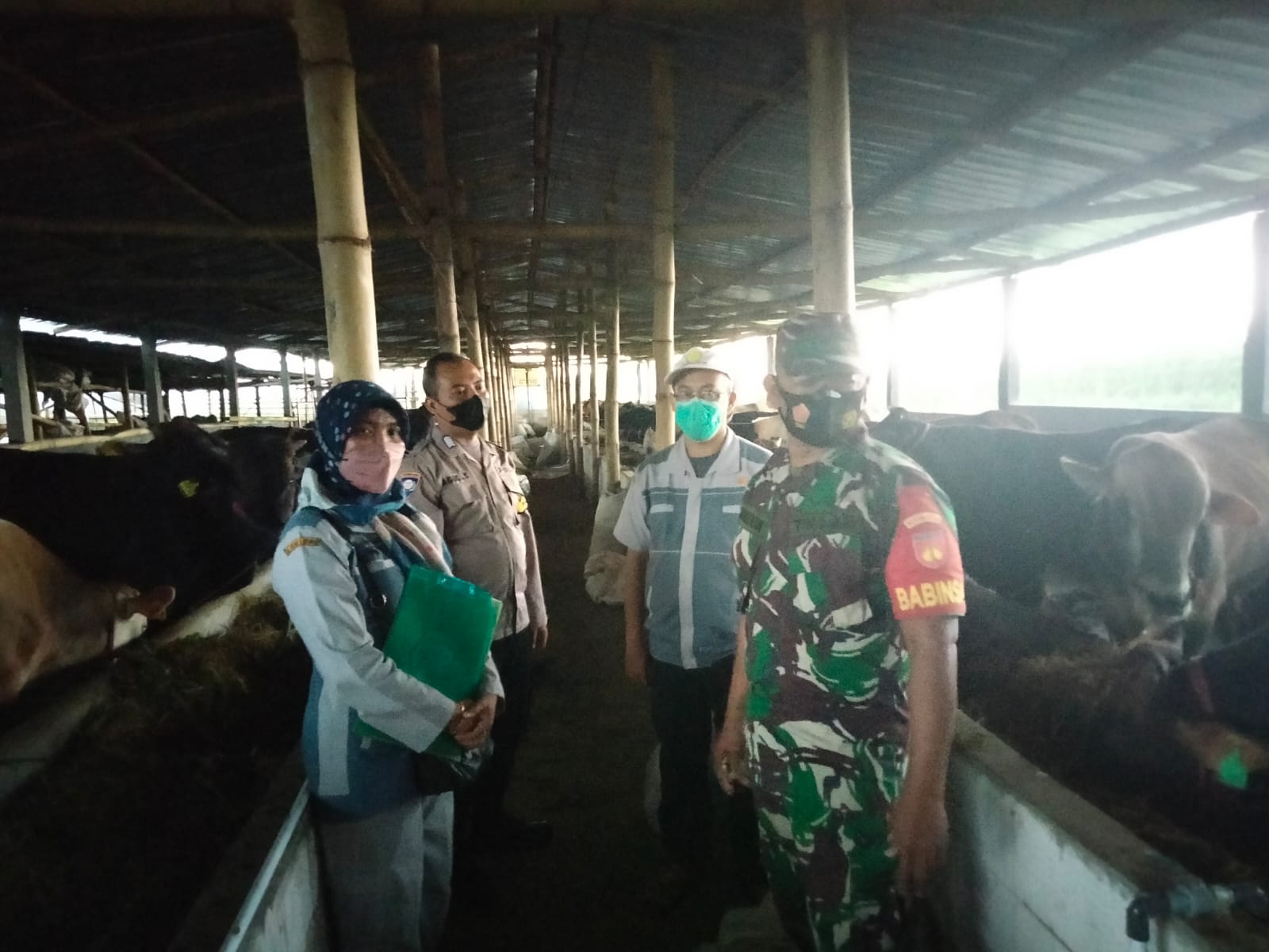 Babinsa Kunti Dampingi Penyerahan Bantuan Sapi (V24/AL)