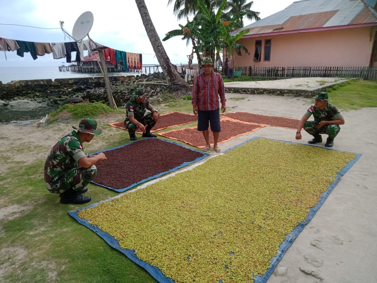 Satgas Kodim Maluku Yonarhanud 11/WBY, Jalin Komunikasi Sosial (Komsos) Dengan Petani Cengkeh Di Negeri Saleman, Sabtu (05/02/2022), (V24/AL)