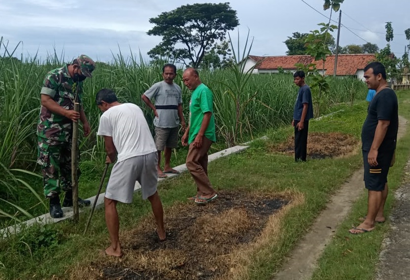 Wujudkan Lingkungan Hijau Babinsa Bersama Warga Tanam Pohon Angsana, Selasa (08/02/2022), (V24/AL)