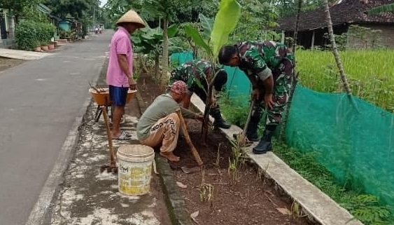 Peduli Lingkungan, Babinsa Bantu Warga Menanam Pohon Buah, Jumat (18/02/2022), (V24/AL)