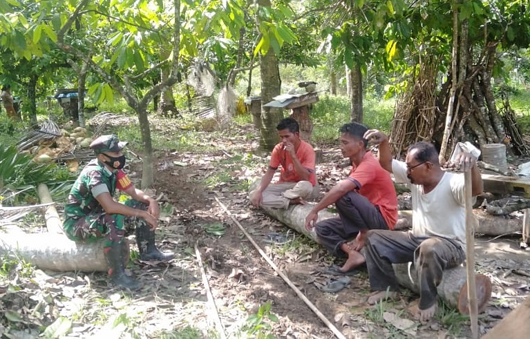 Komsos Dengan Petani, Serda Sharul Ilham Sambangi Kebun Kakao, Sabtu (07/03/2022), (V24/AL)