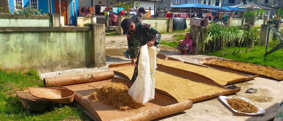 Selain Bermanfaat Untuk Manusia, Berjemur Dapat Mempermudah Proses Pengeringan Padi, Senin (04/04/2022), (V24/AL)