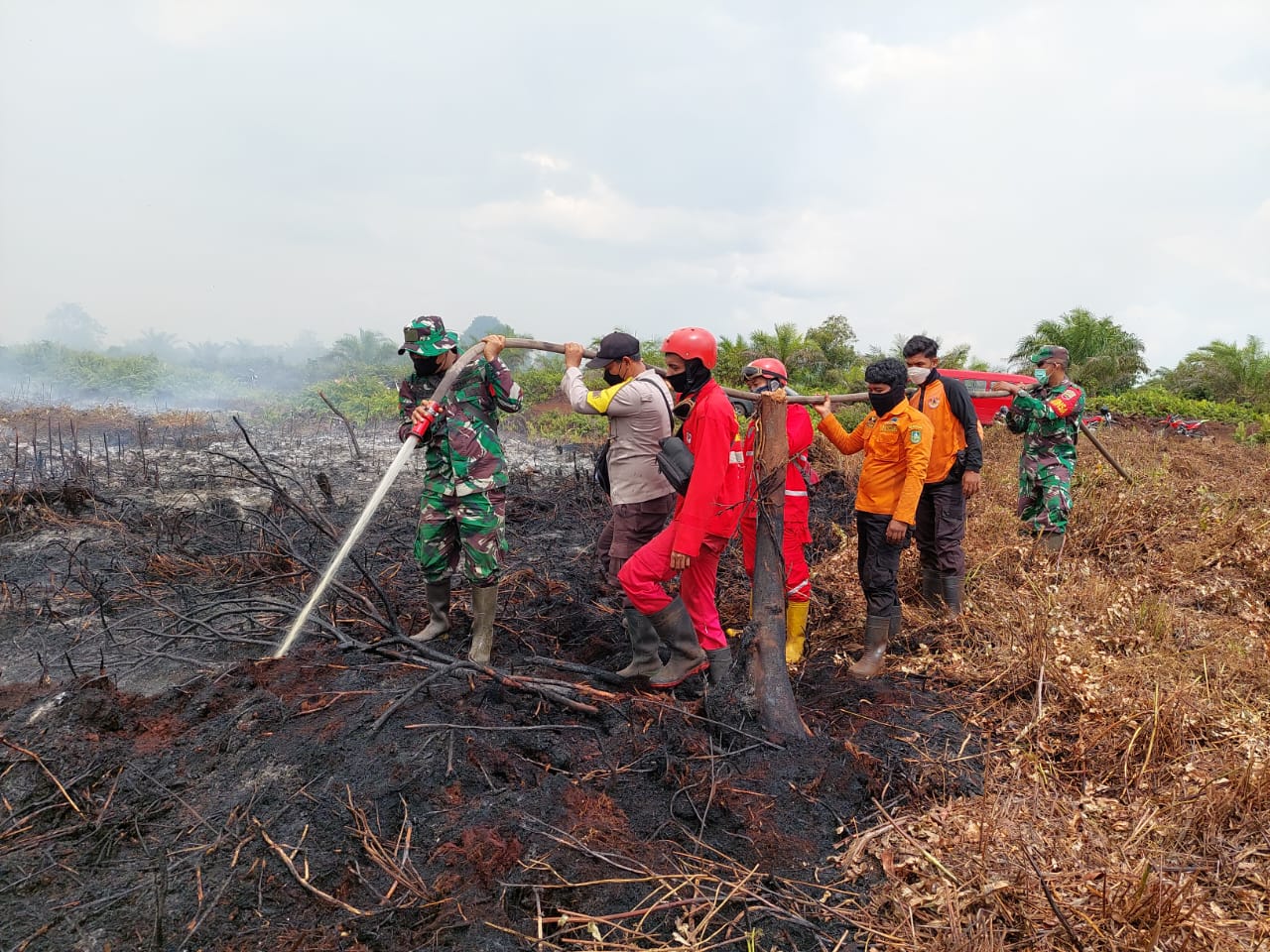 Kebarakan Hutan Merugikan Sejumlaj Petani, Jumat (08/04/2022), (Foto: V24/AL)