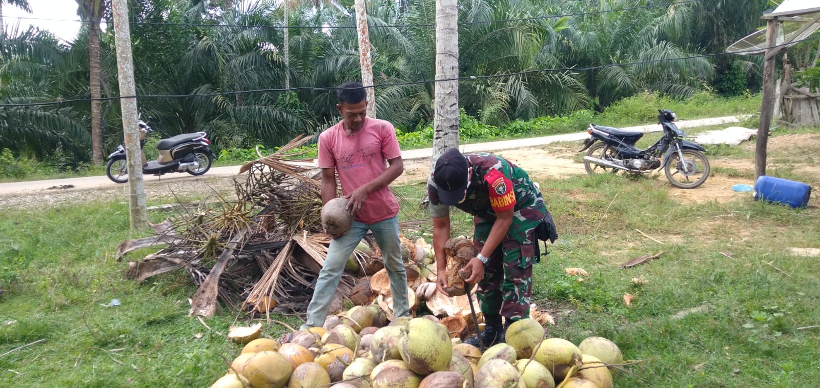 Kelapa Dapat Menyegarkan Masyarakat di Hari yang Panas, Minggu (10/04/2022), (Foto: V24/AL)