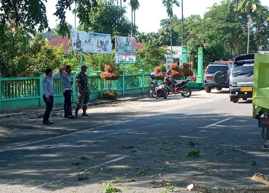 DLH Bersama Warga Kerja Bakti Merapikan dan Memotong Dahan Kayu, Senin (30/05/2022), (Foto: V24/AL)